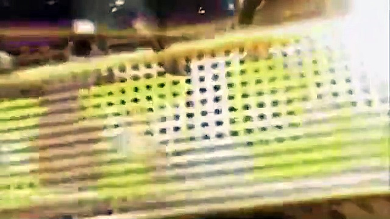 Celebrity Name Game - Se1 - Ep34 HD Watch