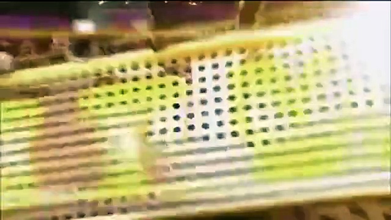 Celebrity Name Game - Se1 - Ep35 HD Watch