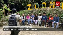 En Chiapas, Zoológico Miguel Álvarez del Toro ofrece recorridos nocturnos