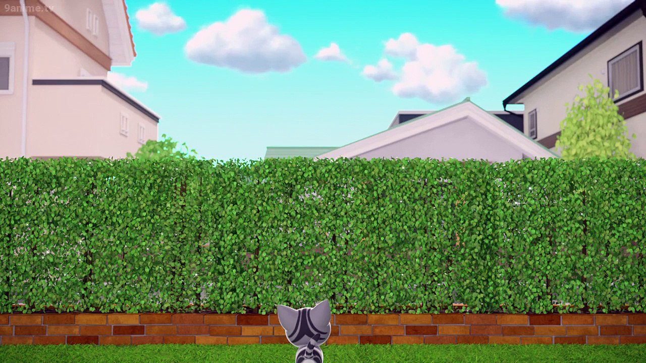 Chi's Sweet Home - Ep39 HD Watch