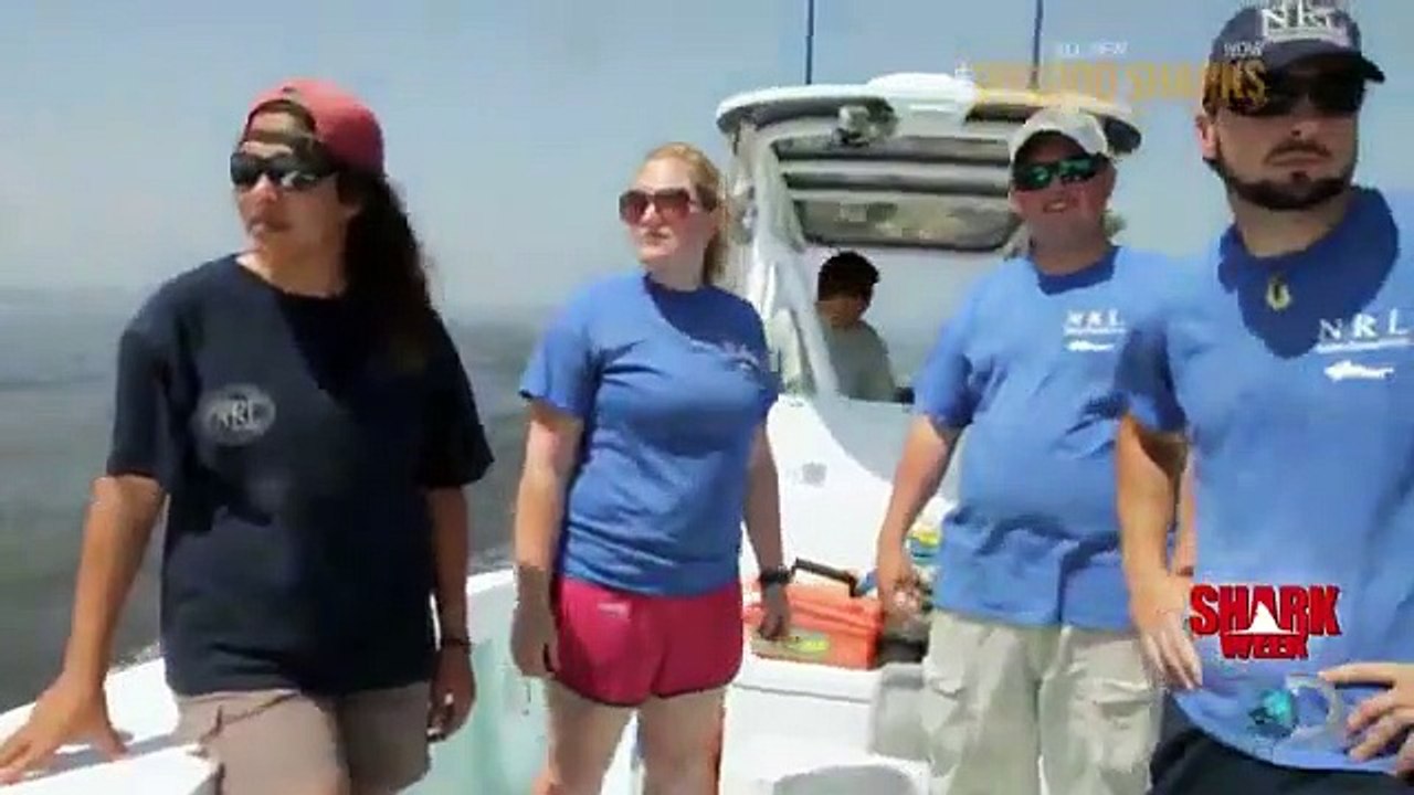 Shark Week - Se26 - Ep04 HD Watch