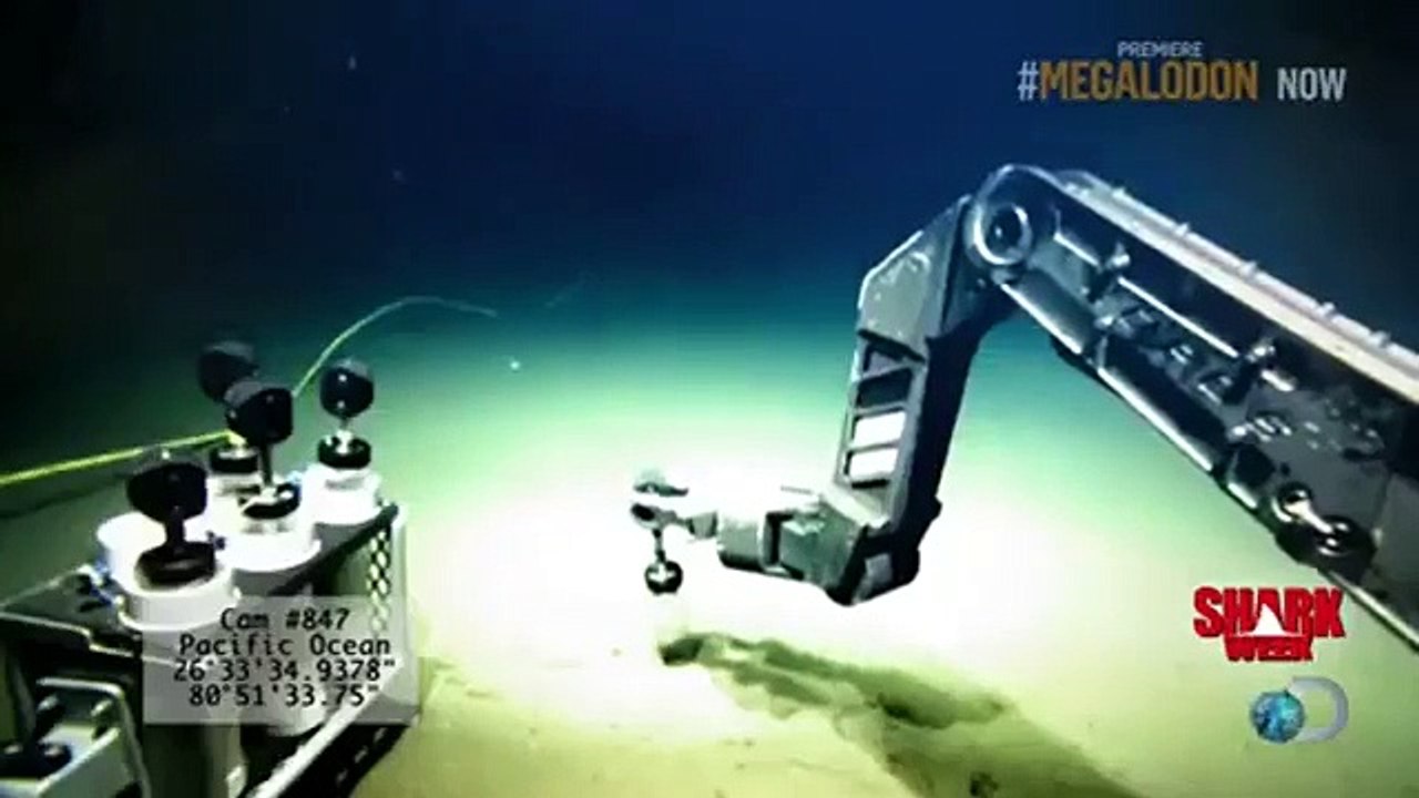 Shark Week - Se26 - Ep01 HD Watch