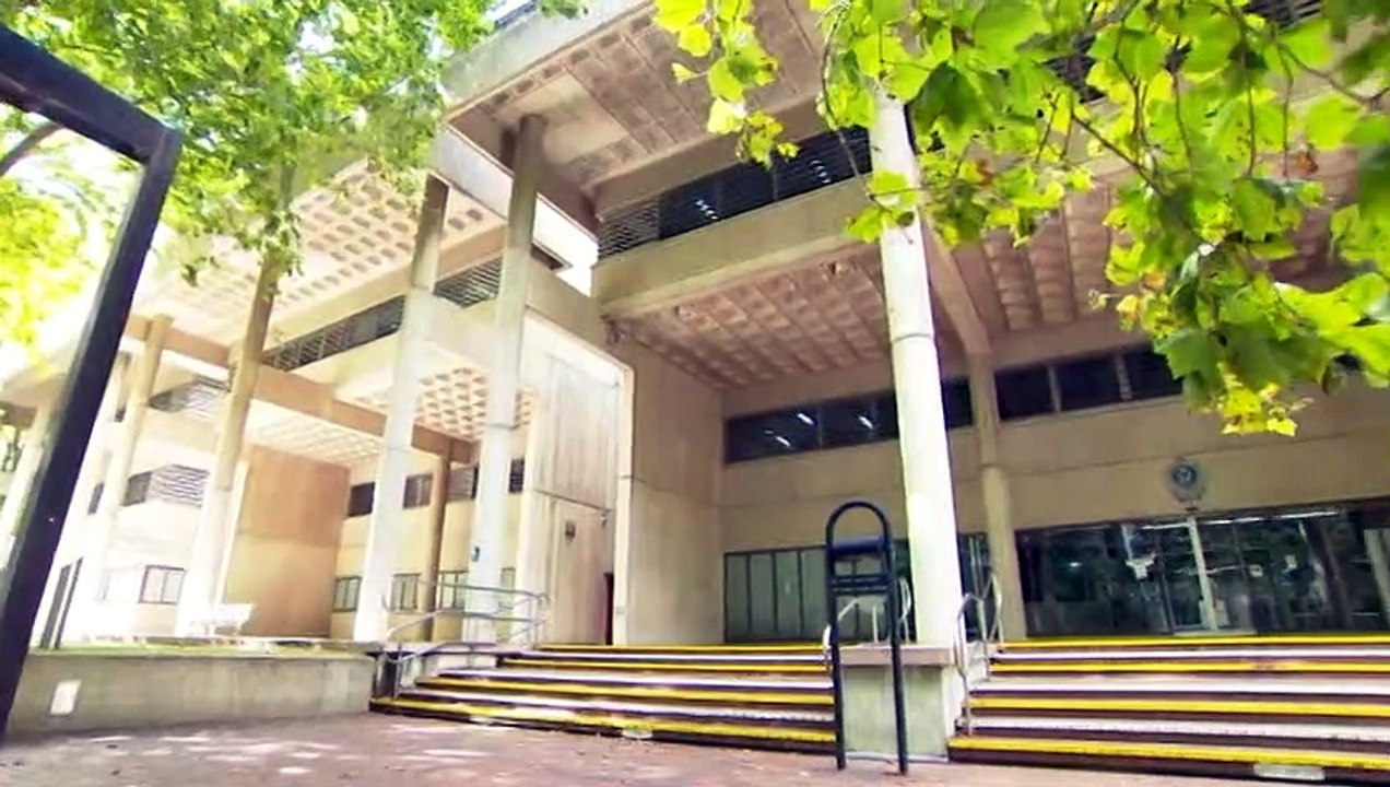 Wallabies star Kurtley Beale has been released on bail