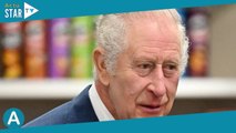 Charles III provoque l'hilarité générale : un cadeau (trop mignon) de ses petits-enfants en cause