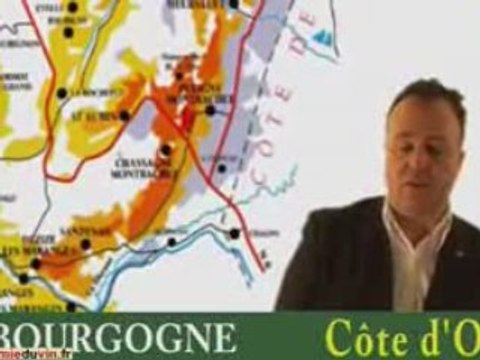 Les vins de Bourgogne : cours académie du vin