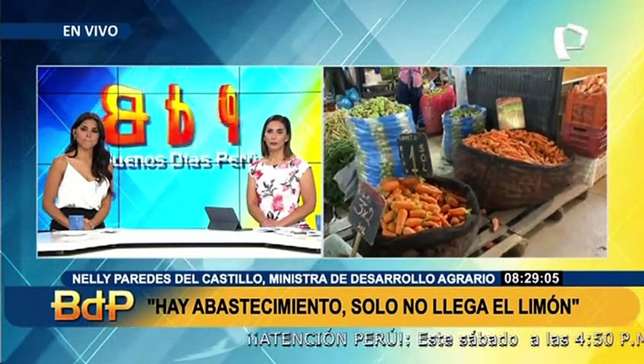 Ministra Paredes: "Dina Boluarte no va a renunciar, nosotros como gabinete estamos más fortalecidos"