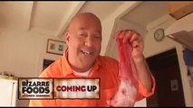 Bizarre Foods with Andrew Zimmern - Se2 - Ep02 HD Watch