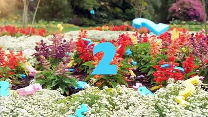 Step Dave - Se1 - Ep01 HD Watch