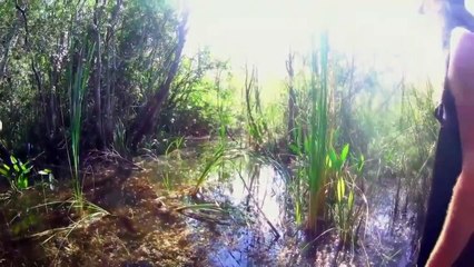 Guardians of the Glades - Se2 - Ep04 - Choke Point HD Watch