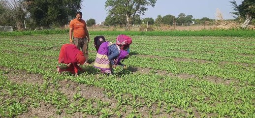 प्रथम चरण में 170 ग्राम पंचायतों में   पौने तीन हजार महिला श्रमिकों का किया चयन