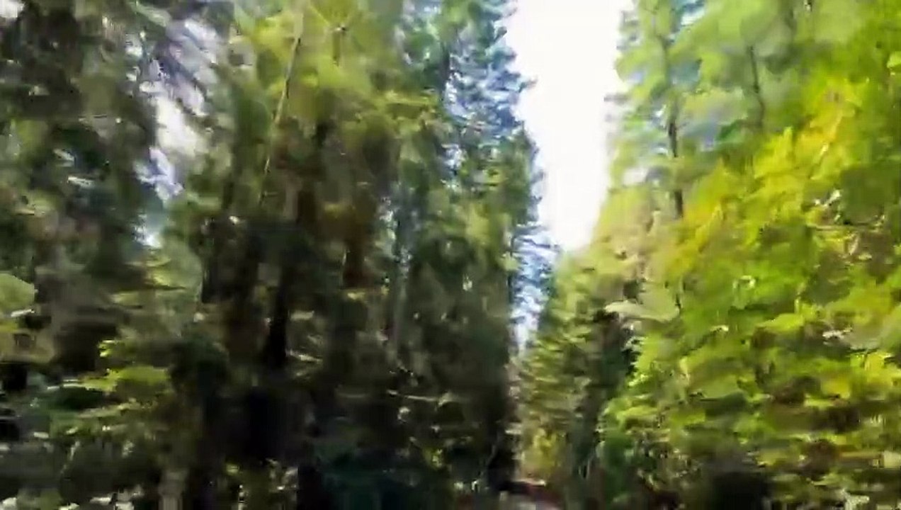 I Was Prey - Se3 - Ep09 - Deadly Decision HD Watch