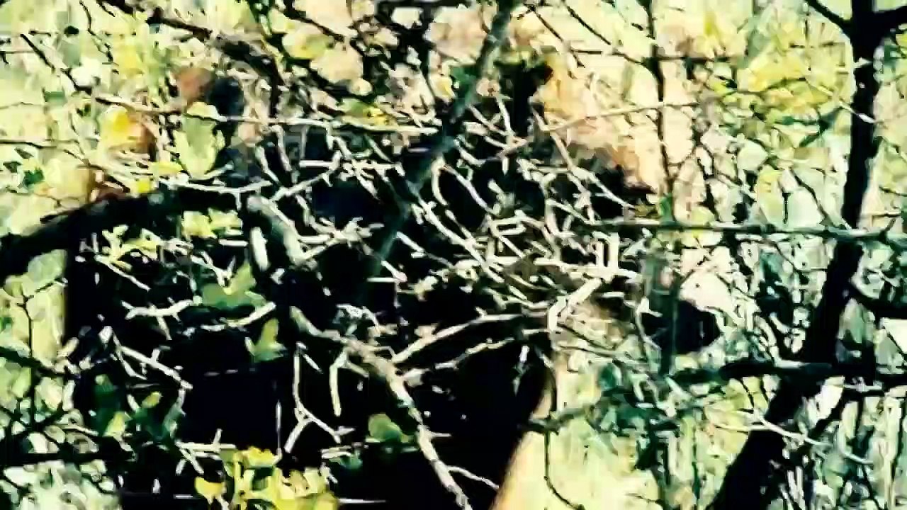 I Was Prey - Se3 - Ep06 - All Alone HD Watch