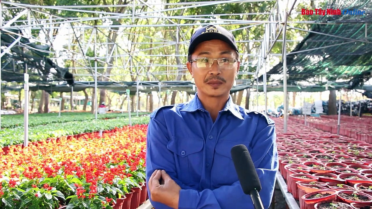 Rực rỡ sắc xuân trên đỉnh núi Bà