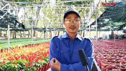 Rực rỡ sắc xuân trên đỉnh núi Bà