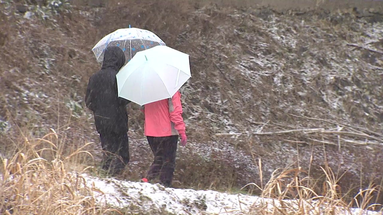 [날씨] 오늘 곳곳에 눈비...설 연휴 마지막 날엔 '최강 한파' / YTN