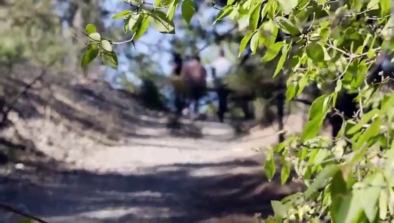 Tiny House Nation - Se6 - Ep04 - No Fall Zone HD Watch