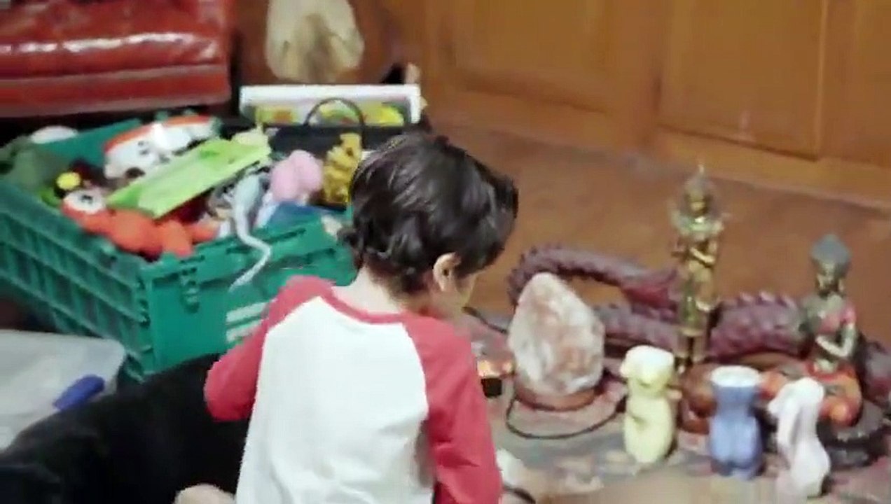 Tiny House Nation - Se6 - Ep06 - Two Turntables and a Tiny House HD Watch