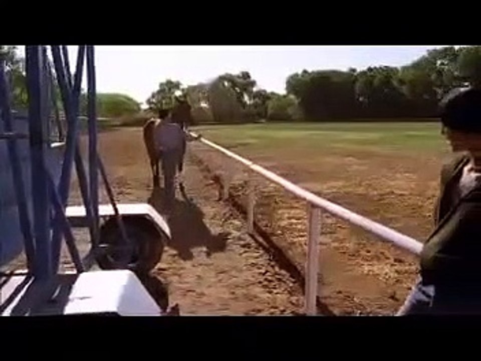 Wildfire - Se1 - Ep04 HD Watch