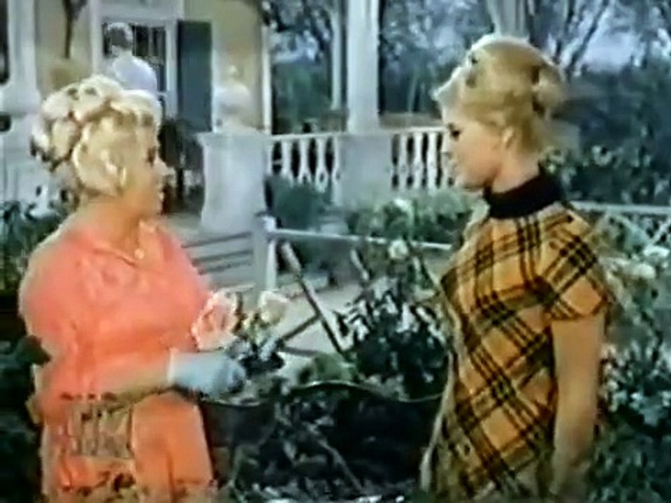 Petticoat Junction - Se5 - Ep16 HD Watch