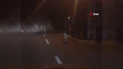 Anayola inen kurt sürüsü böyle görüntülendi