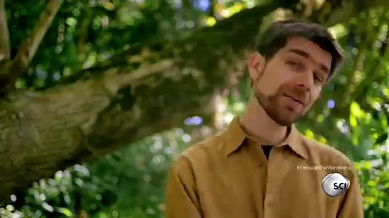 Through the Wormhole - Se5 - Ep09 HD Watch