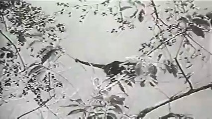 Victory at Sea - Se1 - Ep21 HD Watch