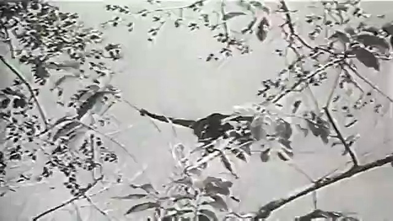 Victory at Sea - Se1 - Ep21 HD Watch