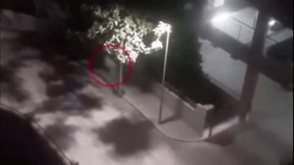 Security cameras capture real ghost sightings