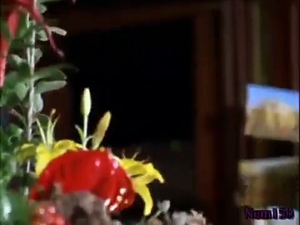 Rex - A Cop's Best Friend - Se2 - Ep06 HD Watch