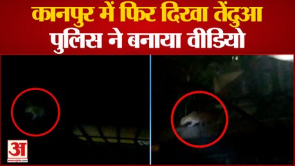 Kanpur News : एक बार फिर दिखा तेंदुआ, पूरे इलाके में फैली दहशत | Kanpur Tendua