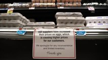 Kuş gribi salgını ve enflasyon, ABD'de yumurta fiyatlarını uçurdu