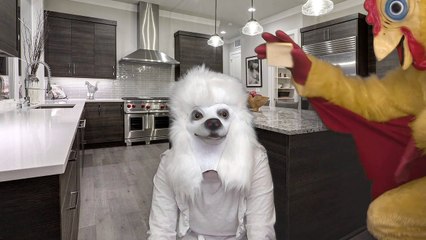 Butter Dog - Meme Remix