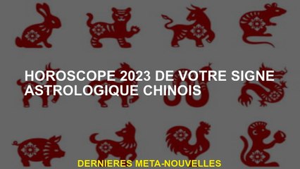 Horoscope 2023 de votre signe astrologique chinois