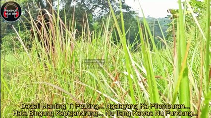 Dadali Manting - Cover By Kang Edi