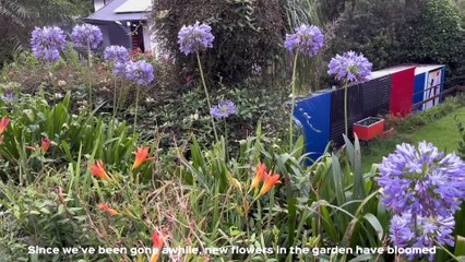 Study Vlog  waking up at 5am, library, organising, note-taking