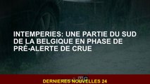 Mauvais temps: une partie du sud de la Belgique dans la phase pré-alerte des inondations