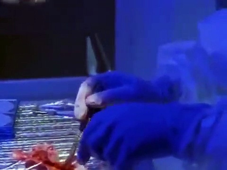 The Outer Limits - Se4 - Ep13 - The Joining HD Watch