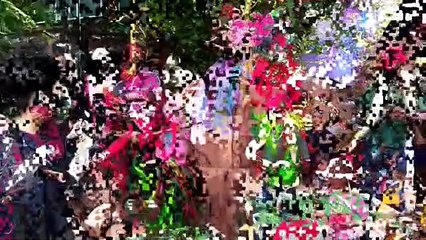 500蝴蝶年初一放飞  游客感受与蝶共舞