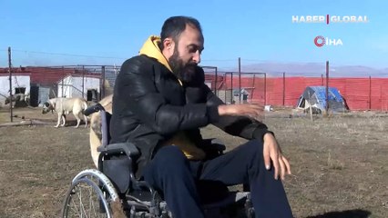 Engelini çok sevdiği Kangallarla aştı, ömrünün kalanını onlara adadı