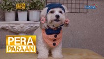 Crocheted accessories para sa fur babies, malago ang kita! | Pera Paraan