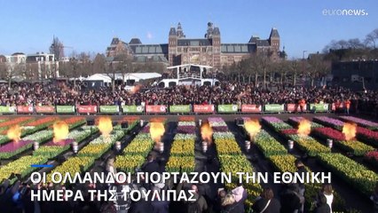 Οι Ολλανδοί γιορτάζουν την Εθνική Ημέρα της Τουλίπας