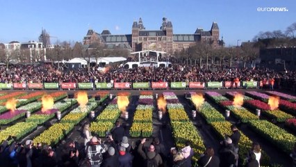 Olanda festeggia la Giornata nazionale del tulipano