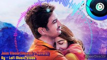 Jaan Nisaar - Arijit Singh [slowed   reverb] | Kedarnath | Bollywood Lofi | Lofi Music Vibes