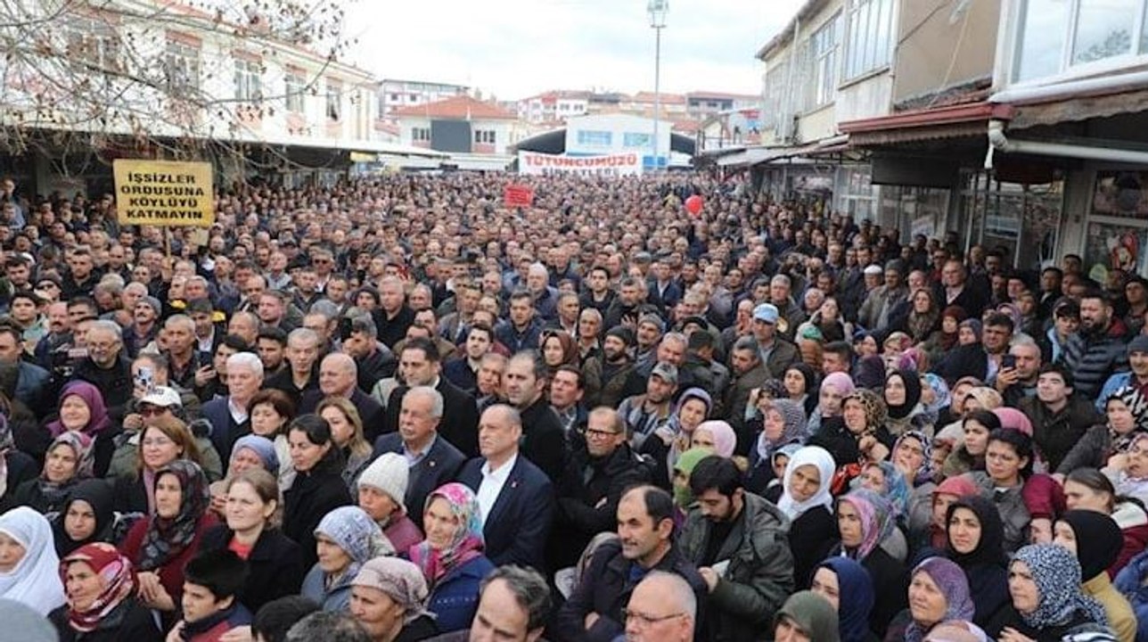 Tütüncüler Birliği Başkanı Solgun: Çiftçinin kanını emdiler