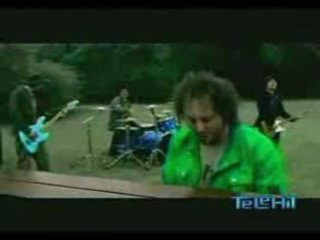 Los tipitos - flor negra