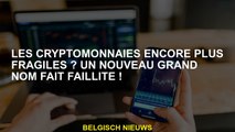 Des crypto-monnaies encore plus fragiles? Un nouveau grand nom fait faillite!