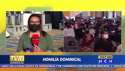 Cardenal Rodríguez pide que no hayan intereses politiqueros en la elección de la nueva CSJ