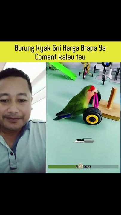 keren banget Comedy And Entertainment Lucu dan Unik Baget sampe Nangis Liatnya