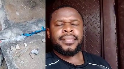 How snakes enter our homes