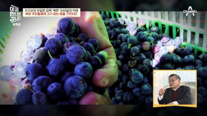 북한에서 시작한 '들쭉' 사업 ★대성공★ 하루아침에 다 팔린 블루베리 원액 6만 병!